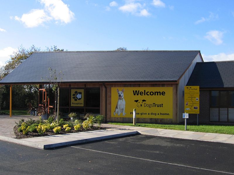 Dogs trust rehoming store centres